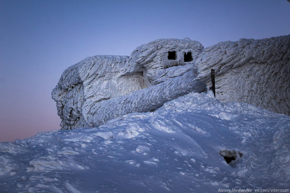 Фотографія Замерзший слон / Алексей Медведев / photographers.ua