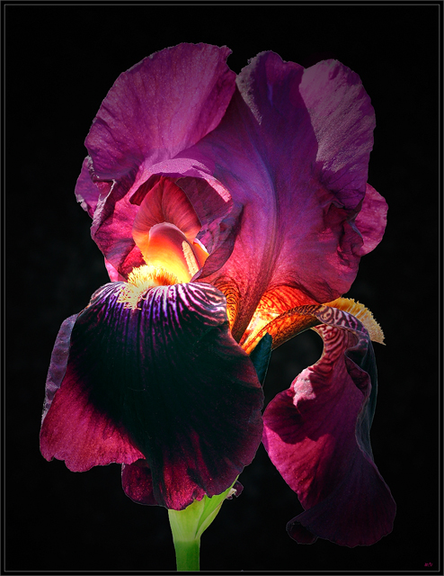 Фотографія Пейзаж / Мирон / photographers.ua