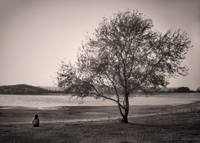 Фотографія * * * / РЕШАТ  АЛИЕВ / photographers.ua