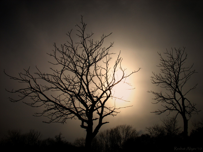 Фотографія Пейзаж / РЕШАТ  АЛИЕВ / photographers.ua