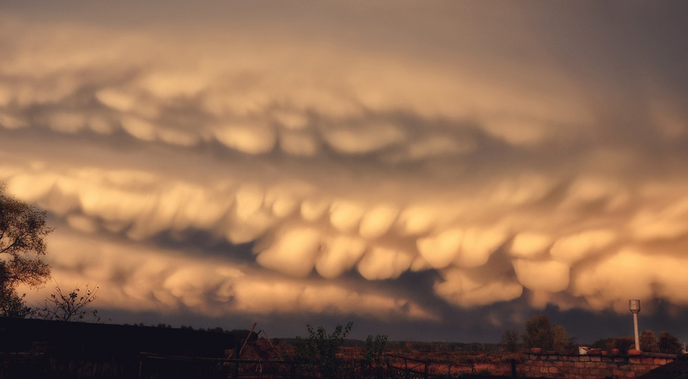 Фотографія Природа... / Olga Zhigadlo*OZ* / photographers.ua