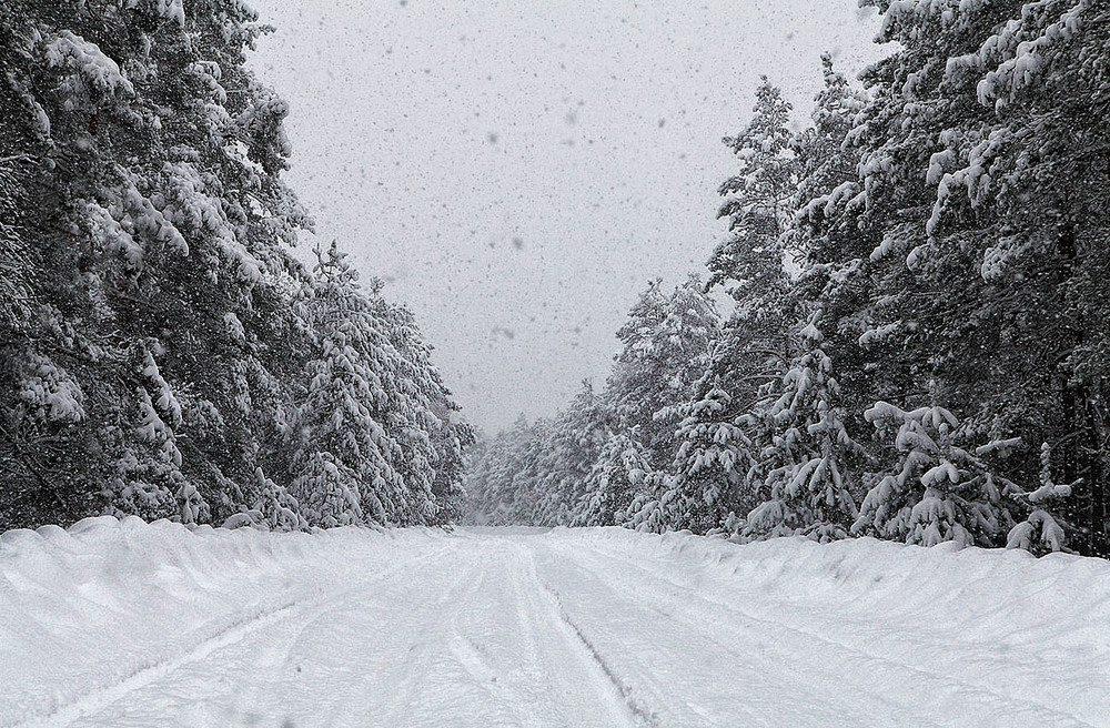 Фотографія Тихо, тихо снег идёт... / Olga Zhigadlo*OZ* / photographers.ua