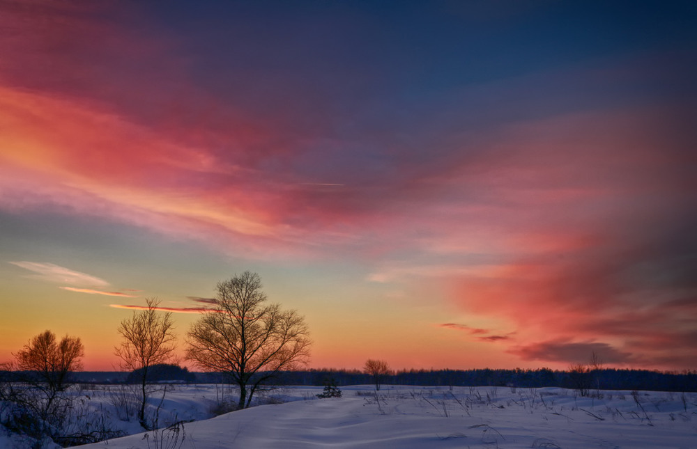 Фотографія Зимней прохладой вечер рисовал... / Olga Zhigadlo*OZ* / photographers.ua