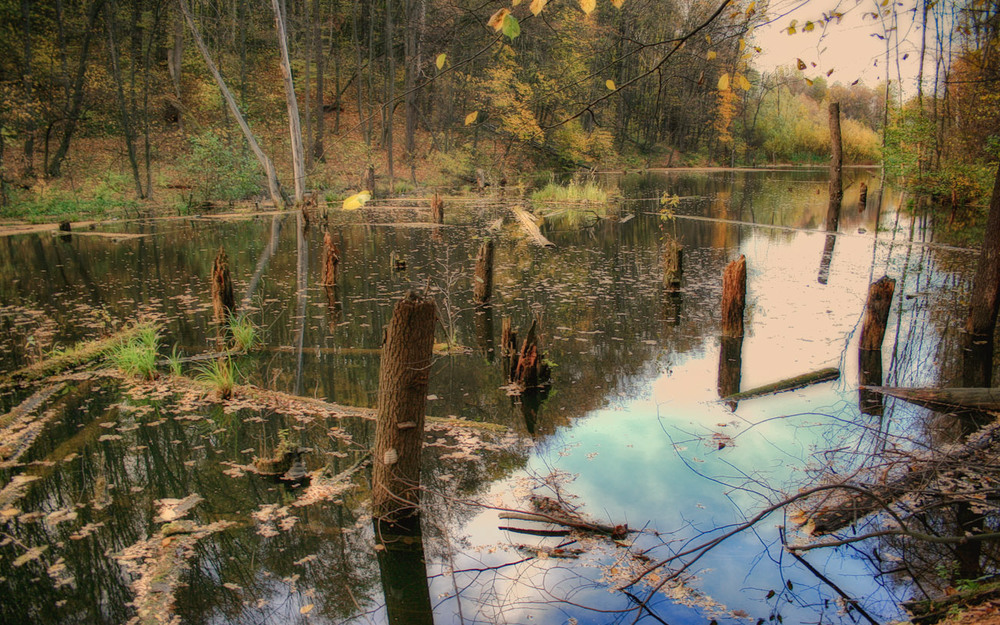 Фотографія Тихая...тихая Осень... / Olga Zhigadlo*OZ* / photographers.ua