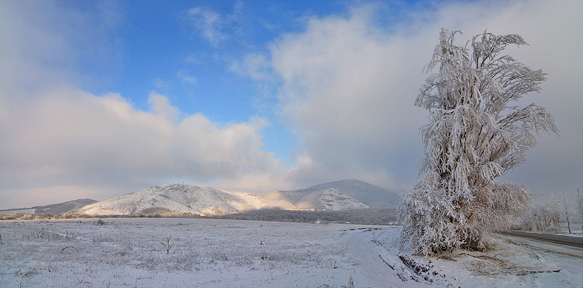 Фотографія Старый Крым, зима... / Alex Kurbatsky / photographers.ua