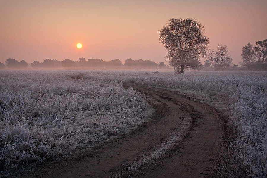 Фотографія Помаранчевий ранок сивої осені / m-melnychuk / photographers.ua