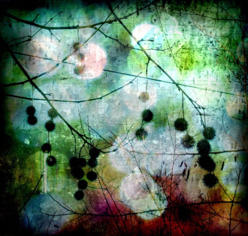 Фотографія Разное / Ксюша Мильченко / photographers.ua