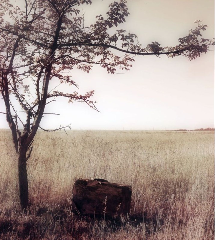 Фотографія Разное / Ксюша Мильченко / photographers.ua