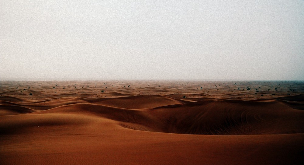 Фотографія * Arabian Desert * / Сташенко Юлия / photographers.ua