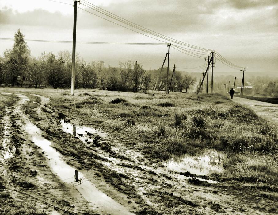 Фотографія <После Дождя> / $n@p$hooterz / photographers.ua