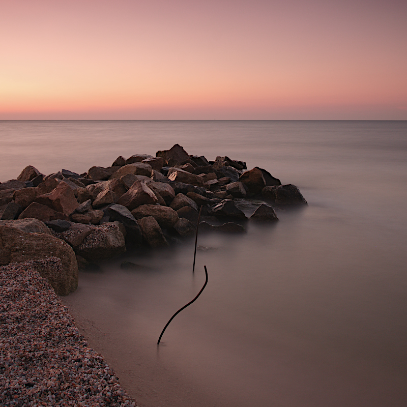 Фотографія Grown in calm water / Олег Кожельцев / photographers.ua