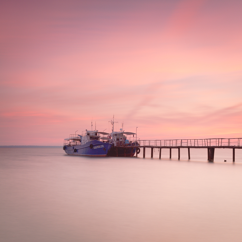 Фотографія Still working together / Олег Кожельцев / photographers.ua
