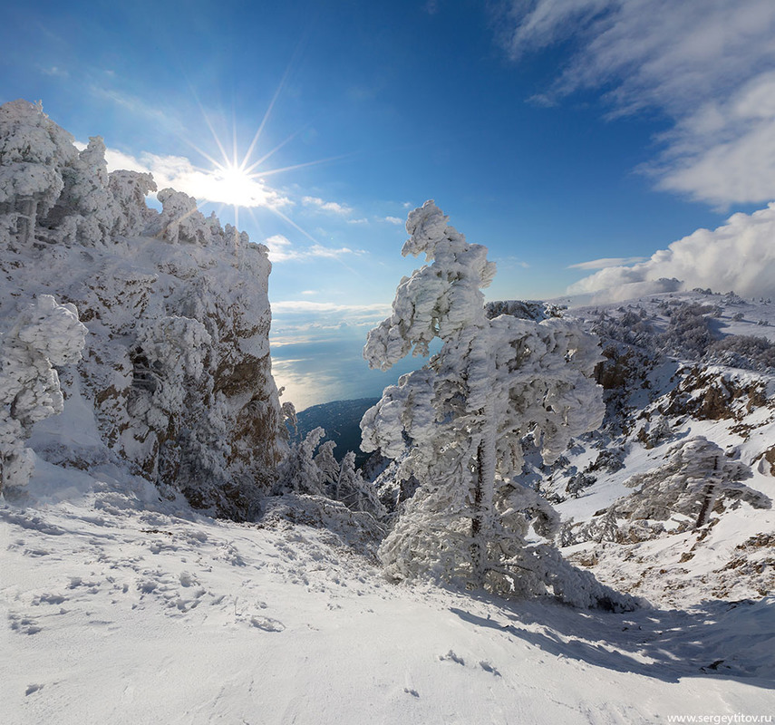 Фотографія Зима на плато Ай-Петри / Сергей Титов / photographers.ua