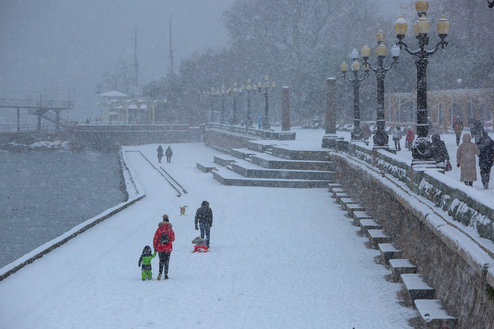Фотографія Снег в Ялте / Сергей Титов / photographers.ua