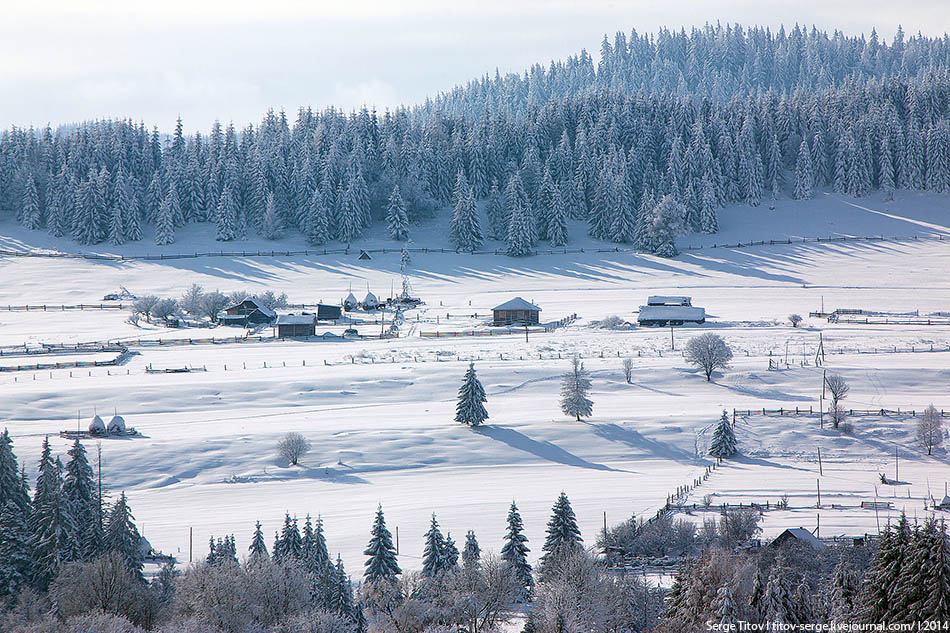 Фотографія Зима в Карпатах / Сергей Титов / photographers.ua
