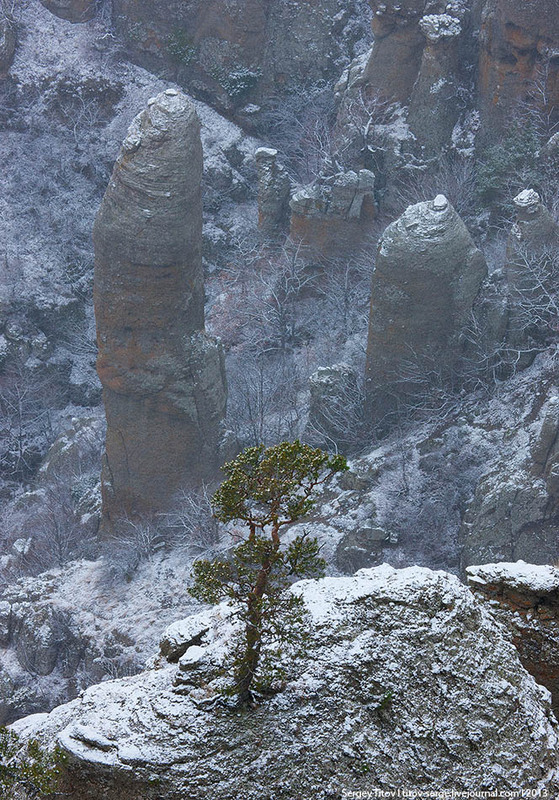 Фотографія Первый снег / Сергей Титов / photographers.ua