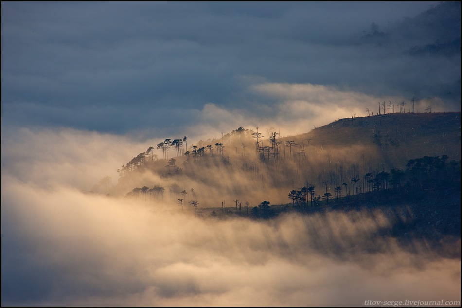 Фотографія Туман в горах над Ялтой / Сергей Титов / photographers.ua