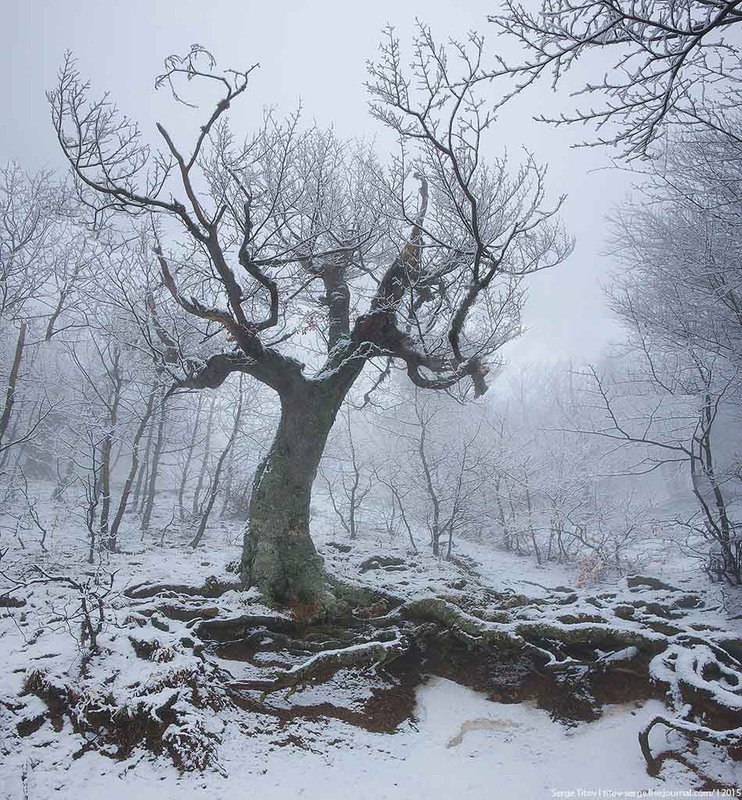 Фотографія Крымская зима / Сергей Титов / photographers.ua