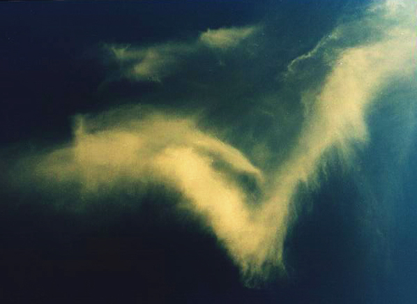 Фотографія Летящая / Key Hedera / photographers.ua