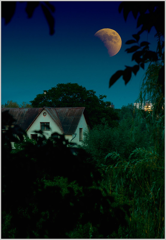 Фотографія Лунное затмение / Skvortsov / photographers.ua