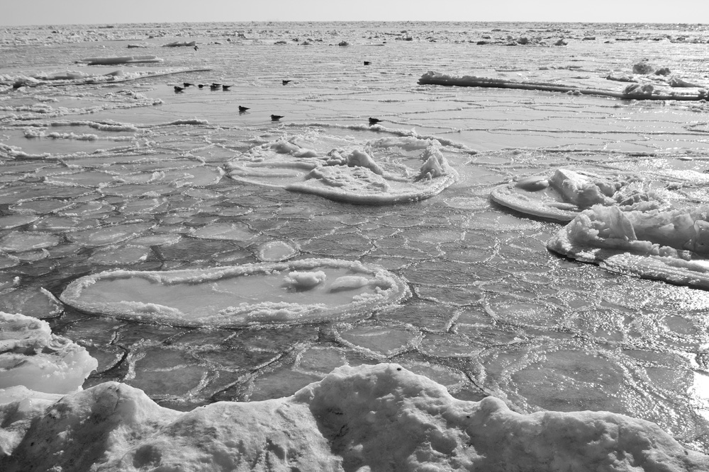 Фотографія Пейзаж / Татьяна Стрельникова / photographers.ua