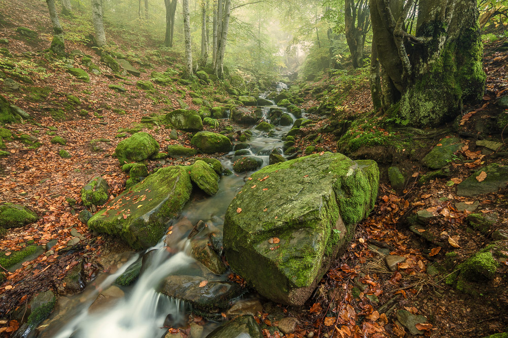 Фотографія Пейзаж / Щука / photographers.ua