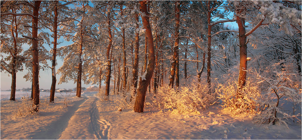 Фотографія Пейзаж / Станислав Ковальчук / photographers.ua