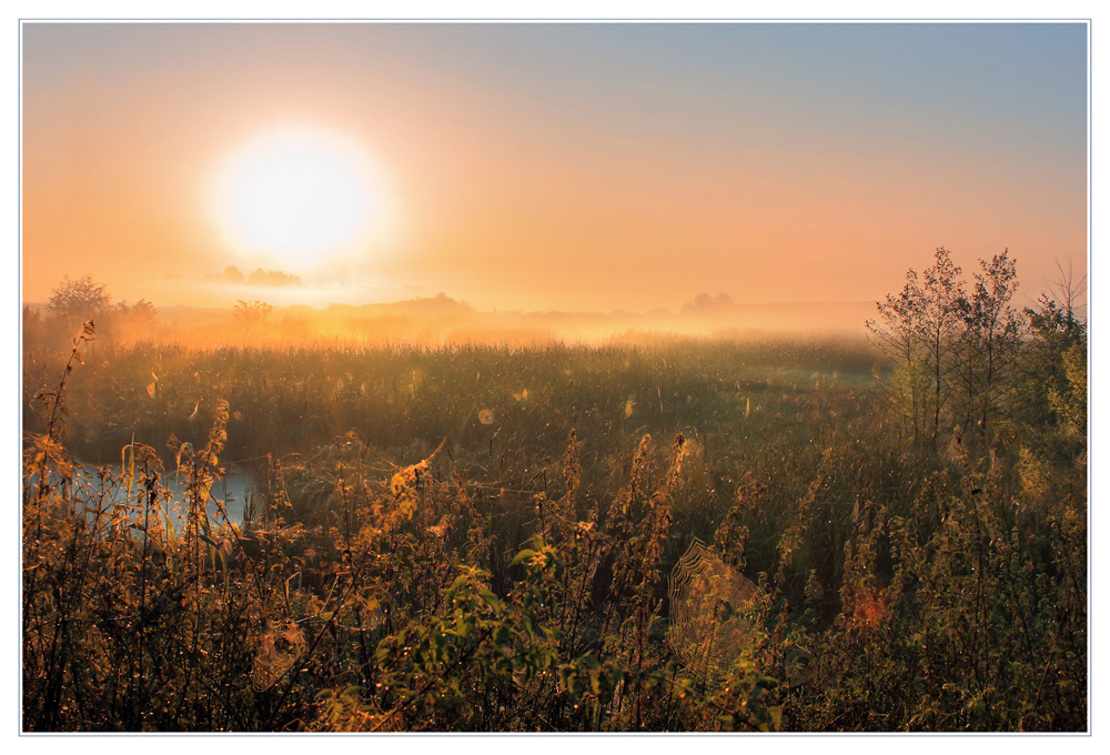 Фотографія Пейзаж / Станислав Ковальчук / photographers.ua