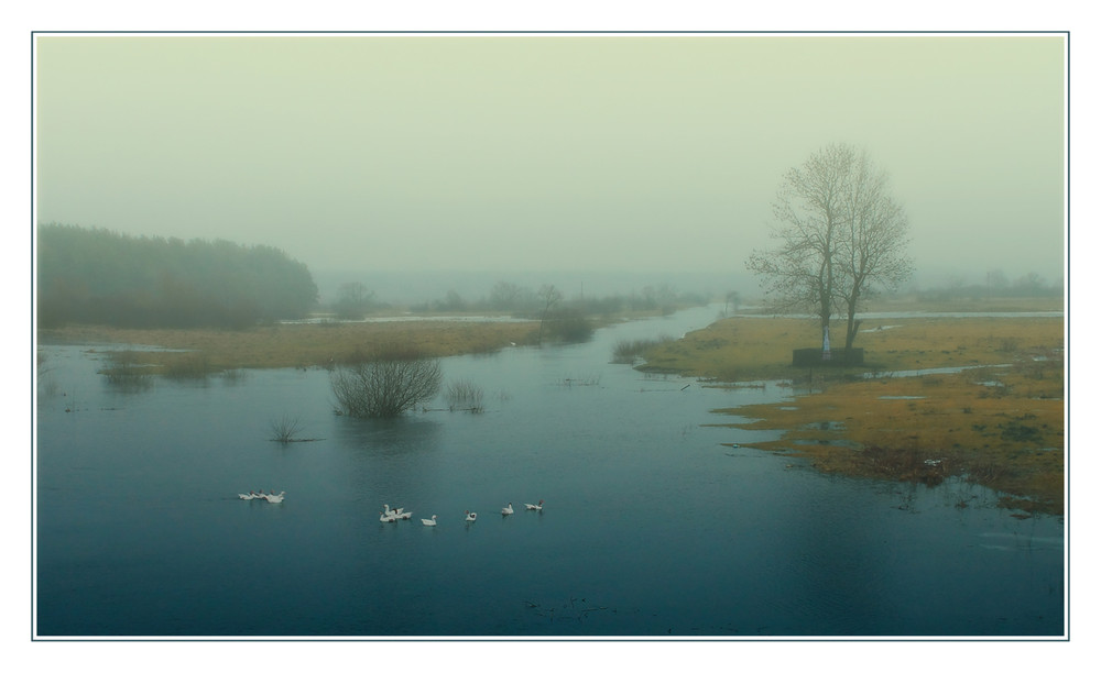 Фотографія Пейзаж / Станислав Ковальчук / photographers.ua