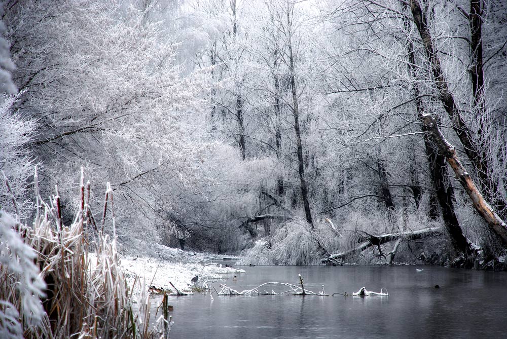 Фотографія Прощай зима / Орест  Лабяк / photographers.ua