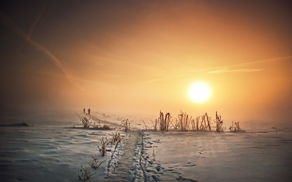 Фотографія Зимовий світанок / Орест  Лабяк / photographers.ua