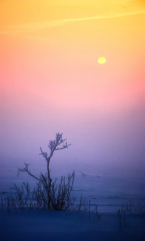 Фотографія "Встречающий" / Орест  Лабяк / photographers.ua