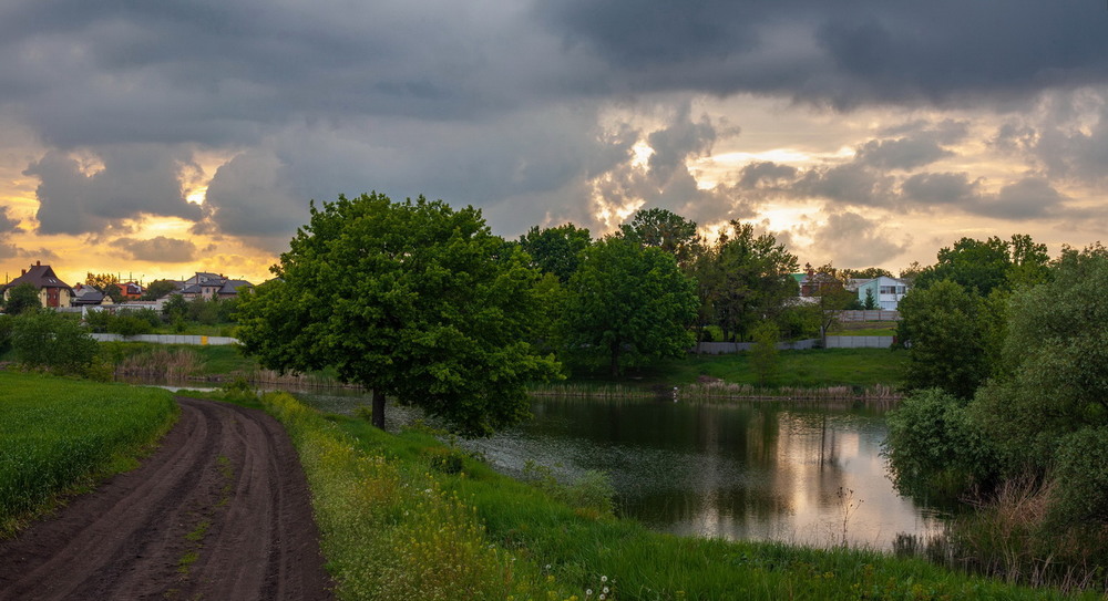 Фотографія Дорога в лето / Евгений Маркин / photographers.ua