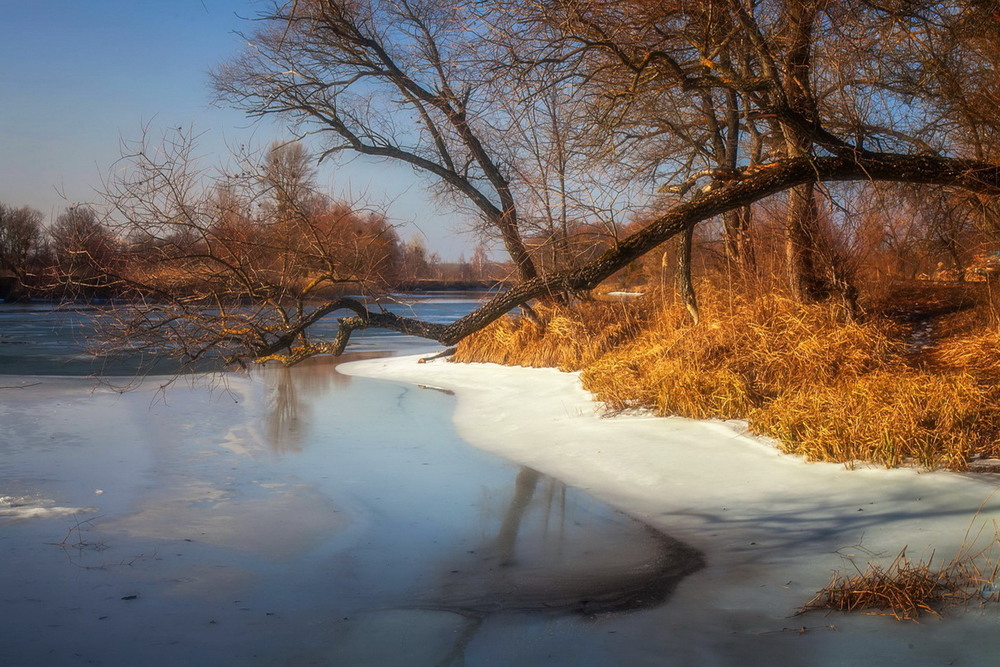 Фотографія Зима на реке / Евгений Маркин / photographers.ua