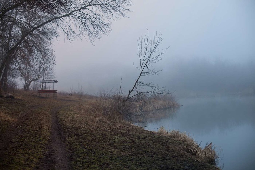 Фотографія Апрельский туман / Евгений Маркин / photographers.ua