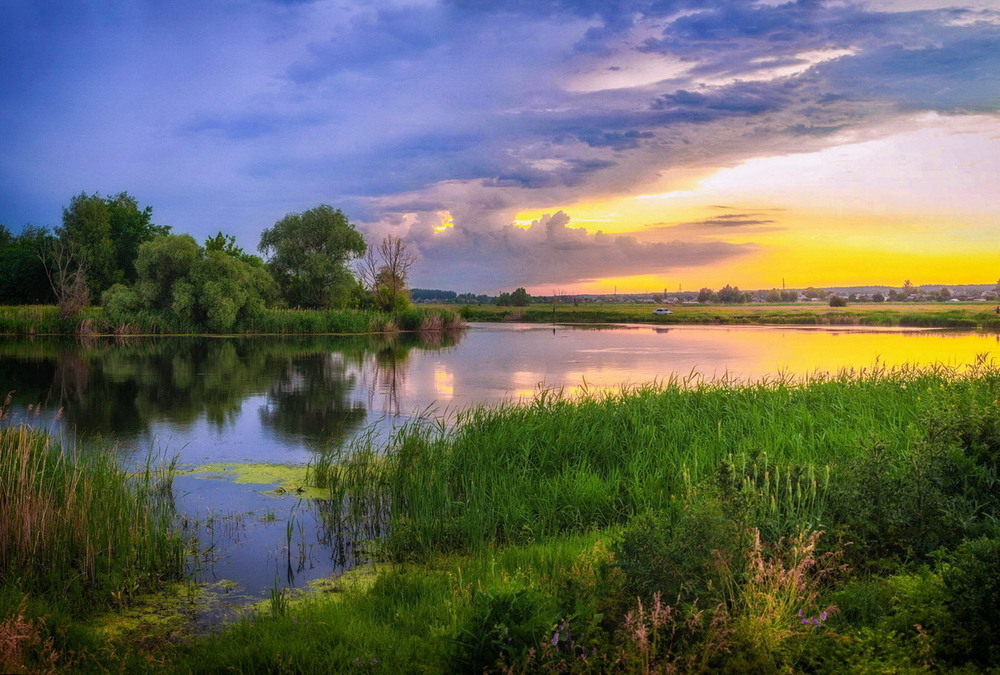 Фотографія Летний закат на реке / Евгений Маркин / photographers.ua