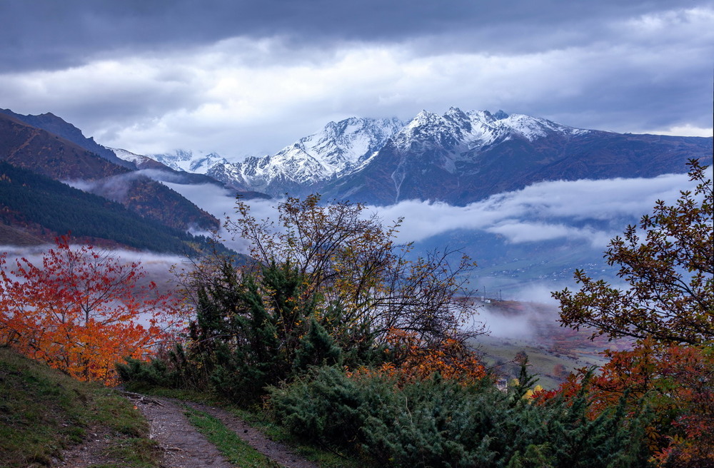 Фотографія Осень в горах / Евгений Маркин / photographers.ua