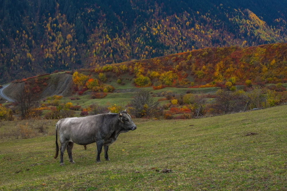 Фотографія Пришла моя очередь / Евгений Маркин / photographers.ua