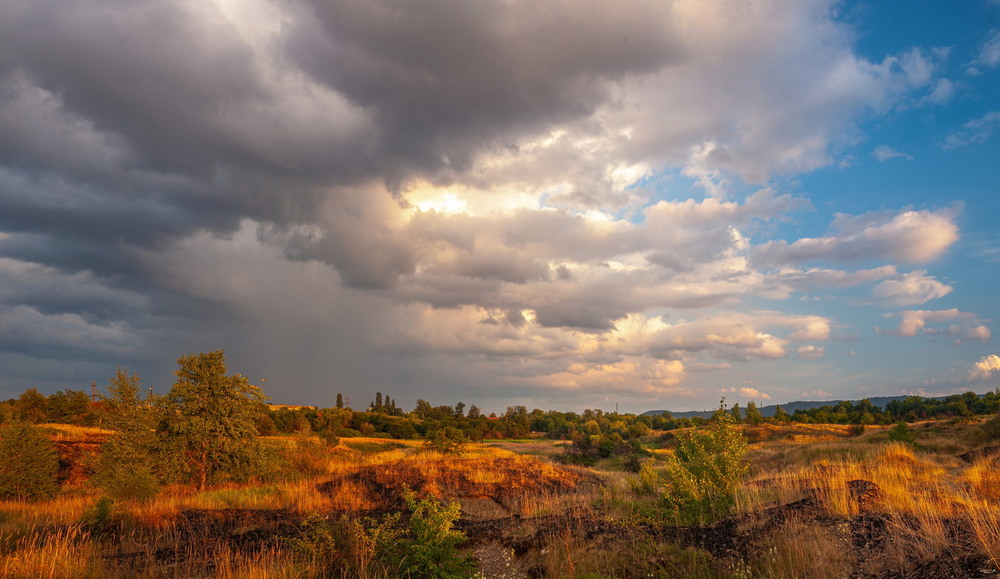 Фотографія Вечер на лугу / Евгений Маркин / photographers.ua