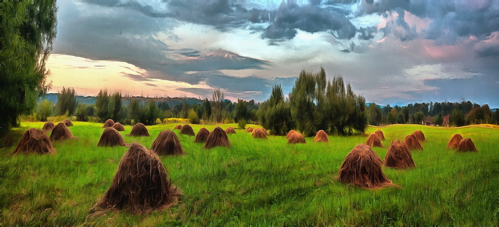 Фотографія Стога / Евгений Маркин / photographers.ua