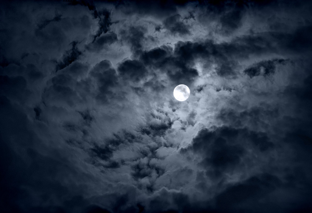 Фотографія full moon rising / Виталий Бурковский / photographers.ua