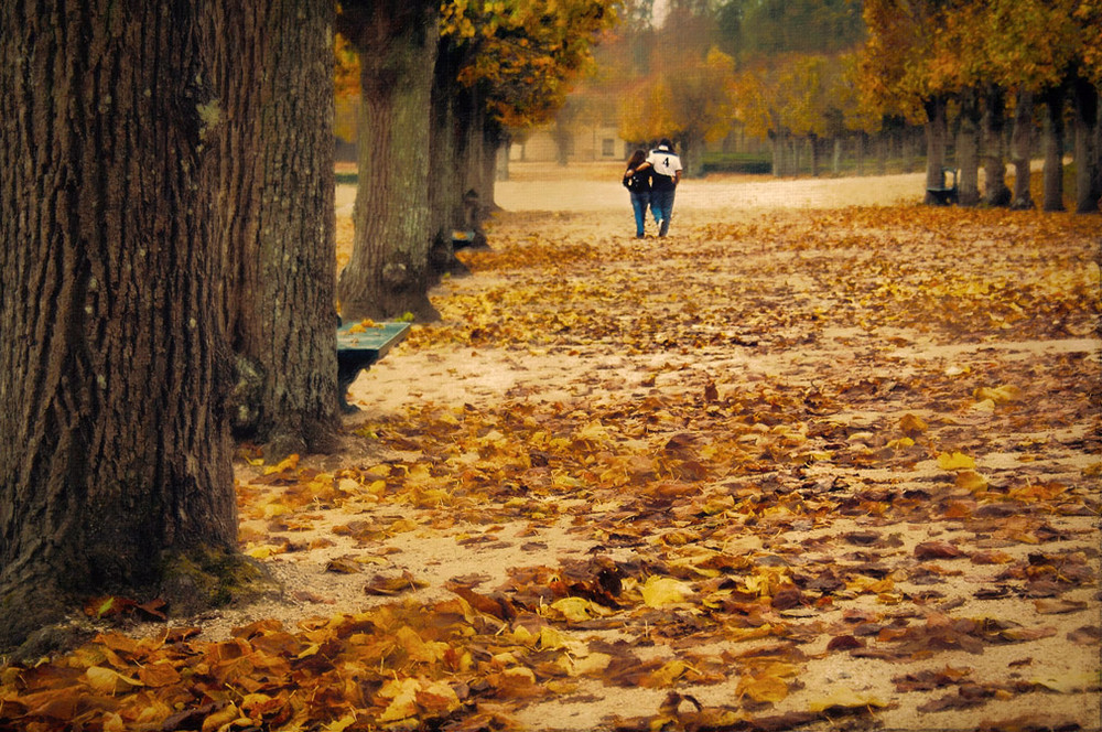 Фотографія La promenade autour du Chateau de Fontainebleau / July Prokopiv / photographers.ua