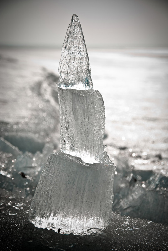 Фотографія Ice Tree / Efimovich Alexey / photographers.ua