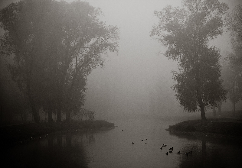 Фотографія ... туман ... / Oleg Utyuzh / photographers.ua