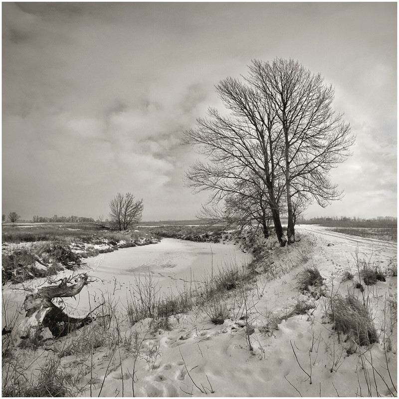 Фотографія Когда деревья спали зимним сном... / Соловей Алексей / photographers.ua