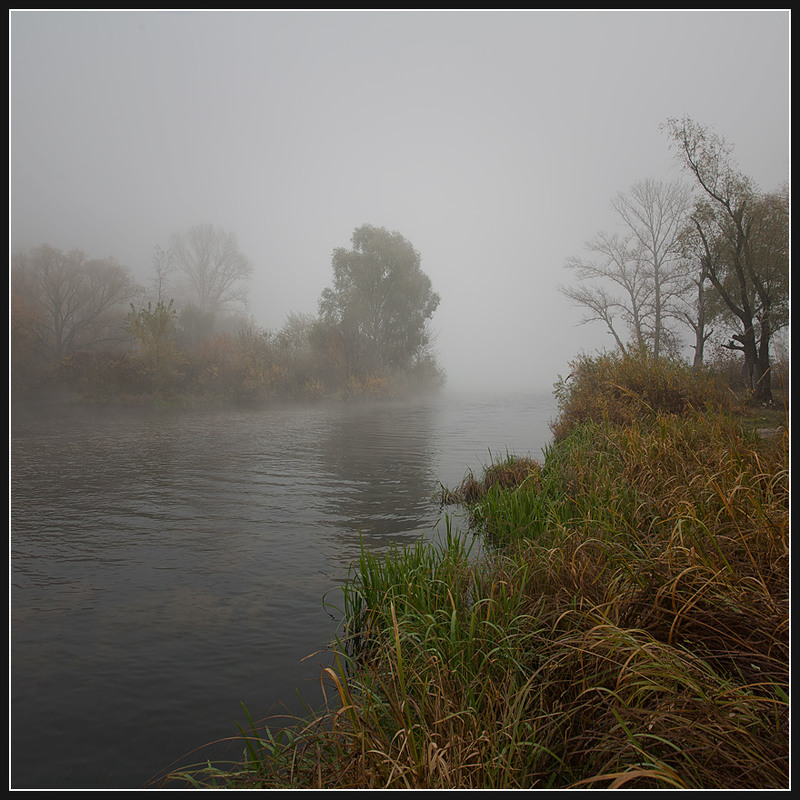 Фотографія Осень... Утро... Туман...(2) / Соловей Алексей / photographers.ua