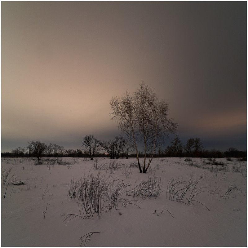Фотографія Зимой ночи светлые... / Соловей Алексей / photographers.ua