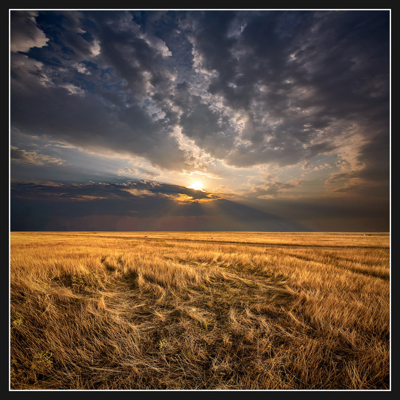 Фотографія И трава с небом говорила... / Соловей Алексей / photographers.ua