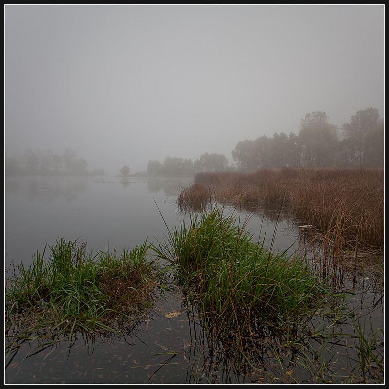 Фотографія Осень... Утро... Туман...(3) / Соловей Алексей / photographers.ua