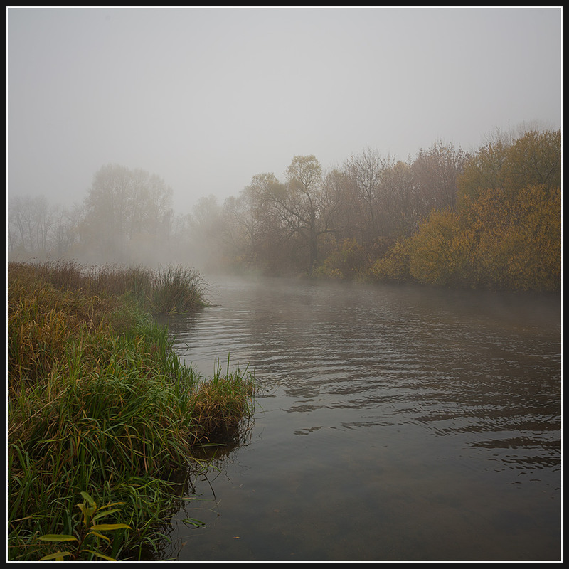 Фотографія Осень... Утро... Туман... / Соловей Алексей / photographers.ua